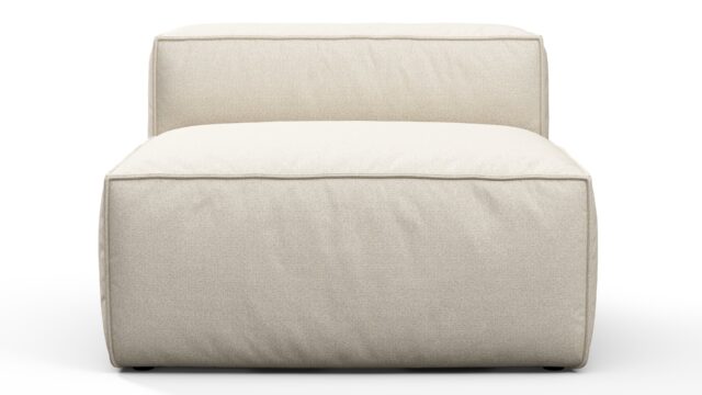 The Andes – 腕なしモジュール